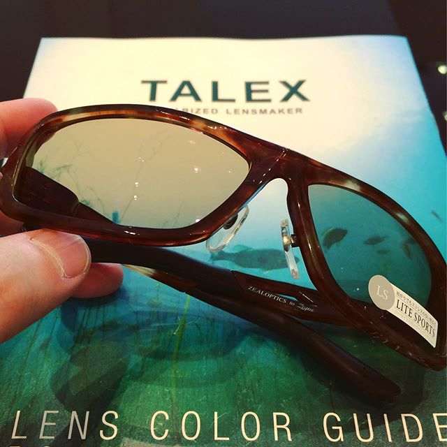 TALEX タレックス 偏光レンズサングラス